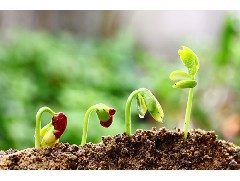 江門土壤檢測公司：土壤污染治理現(xiàn)狀、問題與對策研究